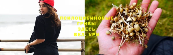 стаф Абдулино