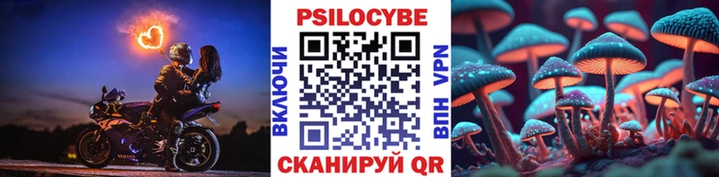 купить наркотик  Александровск  Галлюциногенные грибы ЛСД 